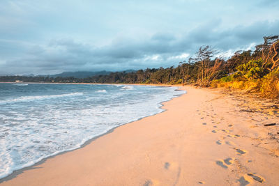 Scenic view of beach against sky