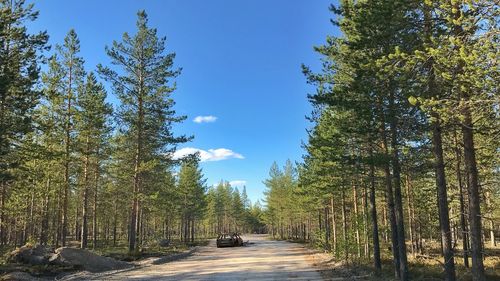 Empty road amidst trees in forest against blue sky