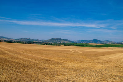 Scenic view of field against blue sky