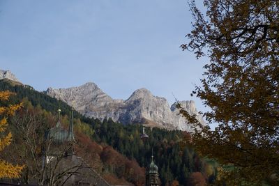 Low angle view of trees against sky during autumn
