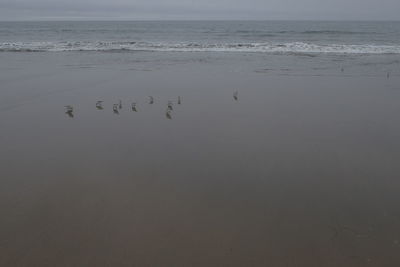 Scenic view of sea against sky at sunset