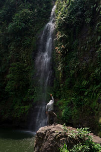 View of waterfall in forest