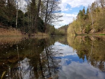 Reflection of trees in lake against sky