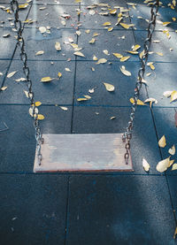 Close-up of autumn leaf on sidewalk