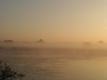 Scenic view of sea shore during sunrise