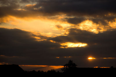 Low angle view of silhouette trees against orange sky