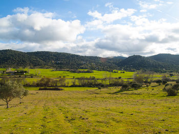 Scenic view of field against sky