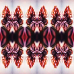 Full frame shot of food on table