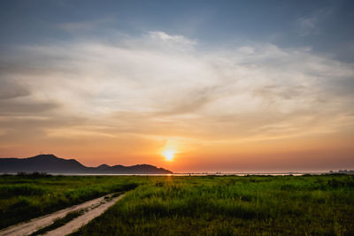 Scenic view of field against sky during sunset