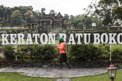 Rear view of man standing by plants