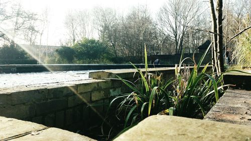 water