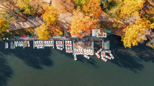 High angle view of trees by river during autumn