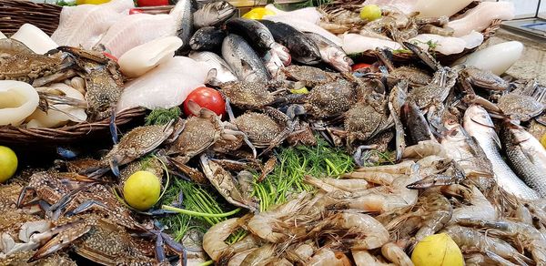 High angle view of fish for sale in market