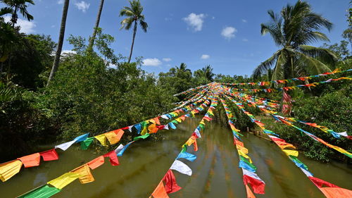 Multi colored flags hanging on tree against sky