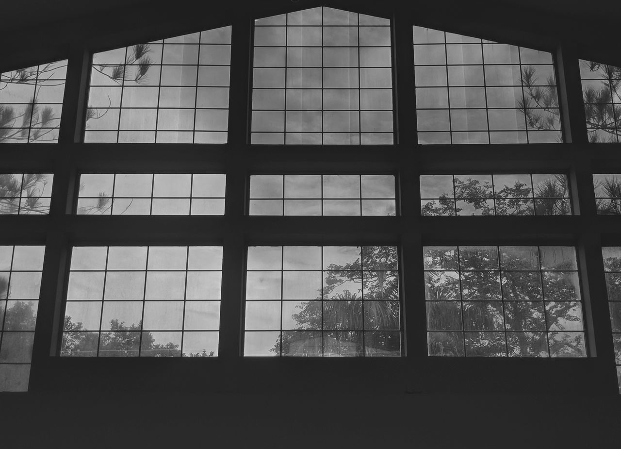 window, indoors, architecture, day, tree, no people, sky, low angle view, built structure, close-up