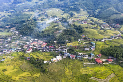 High angle view of trees on field