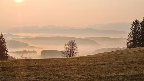 Scenic view of field against sky during sunset