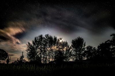 Low angle view of silhouette trees against sky at night