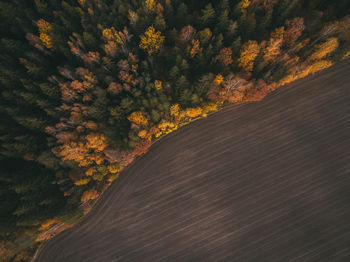 Scenic view of trees on landscape during autumn