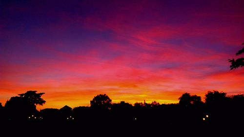 Silhouette trees at sunset