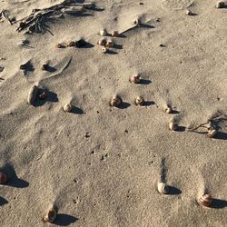 High angle view of footprints on sand
