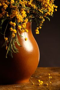 Close-up of yellow flowering plant on table