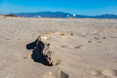 Surface level of sand on beach against blue sky