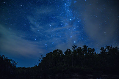 Low angle view of trees against sky at night