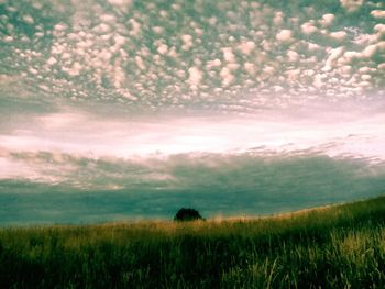 Scenic view of field against sky at sunset