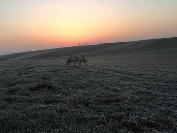 Scenic view of landscape against sky during sunset