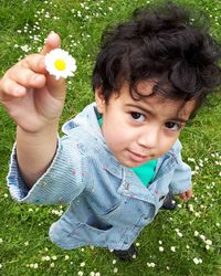 Cute boy holding flower on field