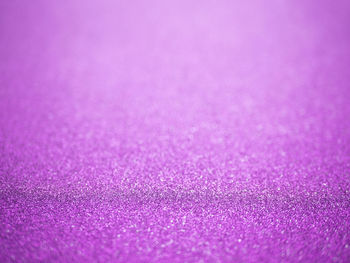 Full frame shot of pink petals on purple background