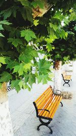 Empty bench on table in park