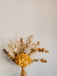 Close-up of dried plant against white background