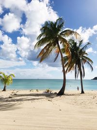 Palm trees on beach against sky