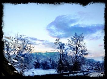 Snow covered landscape