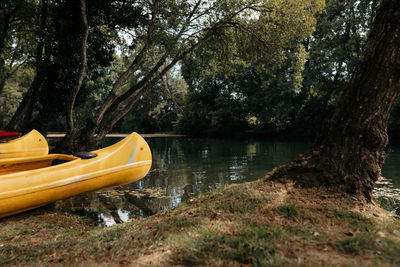 Kayaks on riverbank