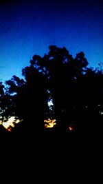 Low angle view of silhouette trees against blue sky