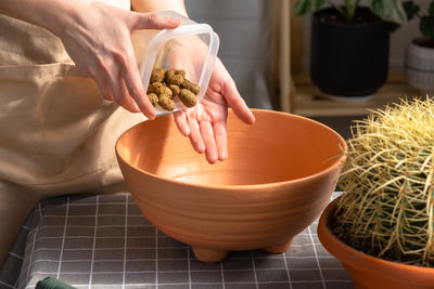 Midsection of woman holding potted plant