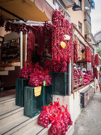 Flower pots hanging at market stall