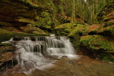 Scenic view of waterfall in forest