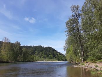 Scenic view of river amidst trees against sky