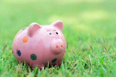 Close-up of pink ball on field