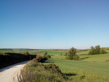 Scenic view of landscape against clear blue sky