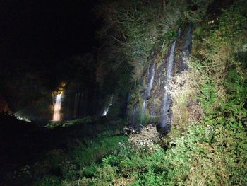 View of waterfall in forest