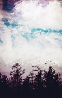 Low angle view of silhouette trees against sky