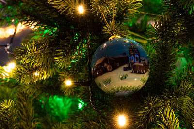 Close-up of illuminated christmas tree