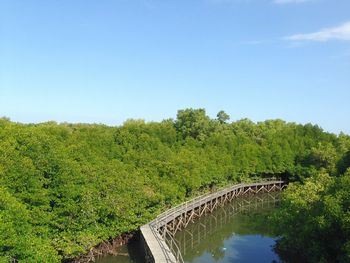 Scenic view of trees against clear blue sky