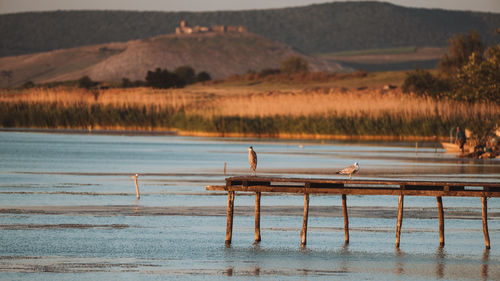 Scenic view of lake