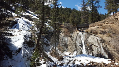 Scenic view of snow covered landscape